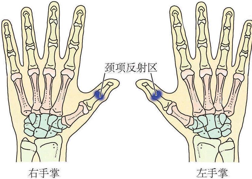 (七)肩關(guān)節(jié)周圍炎